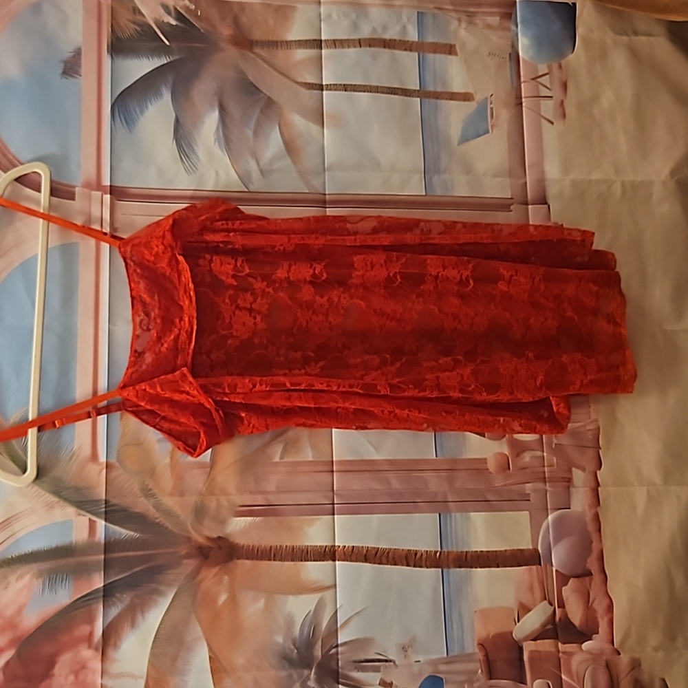 Red Lace Slip